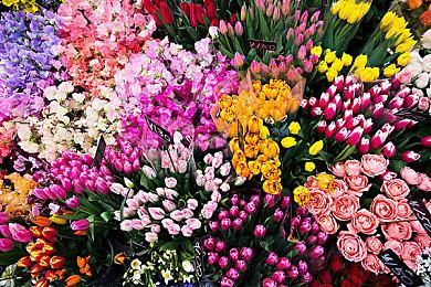 《艾尔登法环》宫崎英高专访 整体通关率会提高